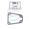 Guarnizione piede Johnson, Evinrude 0314876