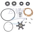 Kit riparazione per pompa acqua unificato Volvo Penta 21951422, 875756