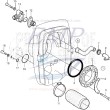 O-ring tubo presa acqua Volvo Penta 925064