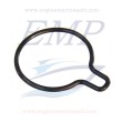 Guarnizione corpo pompa Johnson, Evinrude 5037175