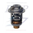 Termostato Johnson, Evinrude 5001036