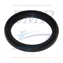 Paraolio 43x55x6 DT motore Yamaha, Selva 93102-43M42