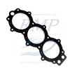 Guarnizione testata Johnson, Evinrude 0329836