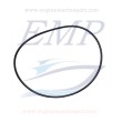 O-ring piede johnson, Evinrude, OMC 0313175