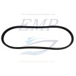 Cinghia alternatore Volvo Penta EMP 3853713
