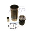 Canne cilindro e pistoni Volvo Penta EMP 875541