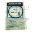 O-ring motore Mercury, Mariner 861844, 8M0214974