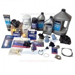 kit tagliando OMC 502AP (Ford )