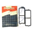 Guarnizione pacco lamellare Johnson, Evinrude, BRP 0319174