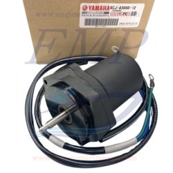 Motorino trim Yamaha, Selva 6CJ-43880-12