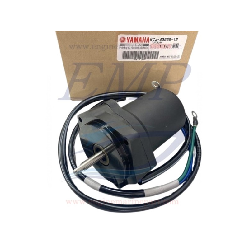 Motorino trim Yamaha, Selva 6CJ-43880-12