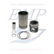 Canne cilindro e pistoni Volvo Penta EMP 876548