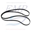 Cinghia servizi Volvo Penta EMP 3862614