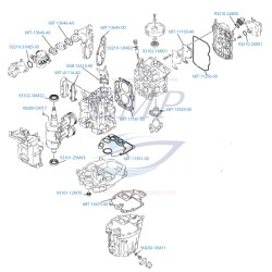 Ricambi trim F200 F300 Yamaha, Selva