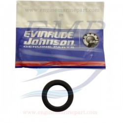 Paraolio Johnson, Evinrude 0320862