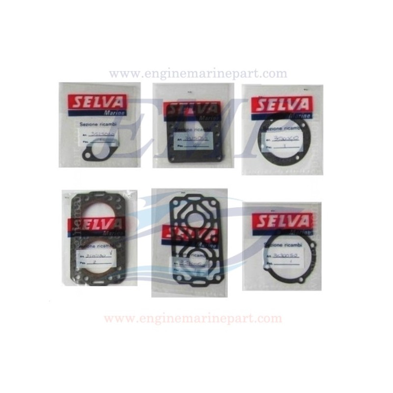 Kit guarnizione motore Selva S260 2t  00982.00.86, 1536200