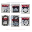Kit guarnizione motore Selva S260 2t  00982.00.86, 1536200