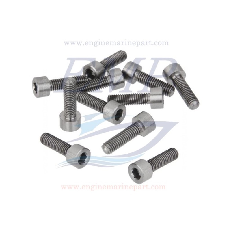 Vite a brucola coperchio scambiatore di calore FNM 4.116.107.1