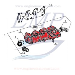 Collettore scarico 1248cc FNM 1.515.034.1