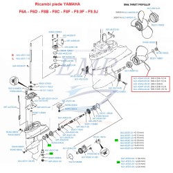 Ricambi Piede F6A, F6D, F8B, F8C, F8F, F9.9F, F9.9J Yamaha Marine