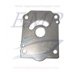 Piastra inox corpo pompa Johnson, Evinrude 5035041