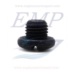 Vite olio piede 4T Johnson, Evinrude 5030094