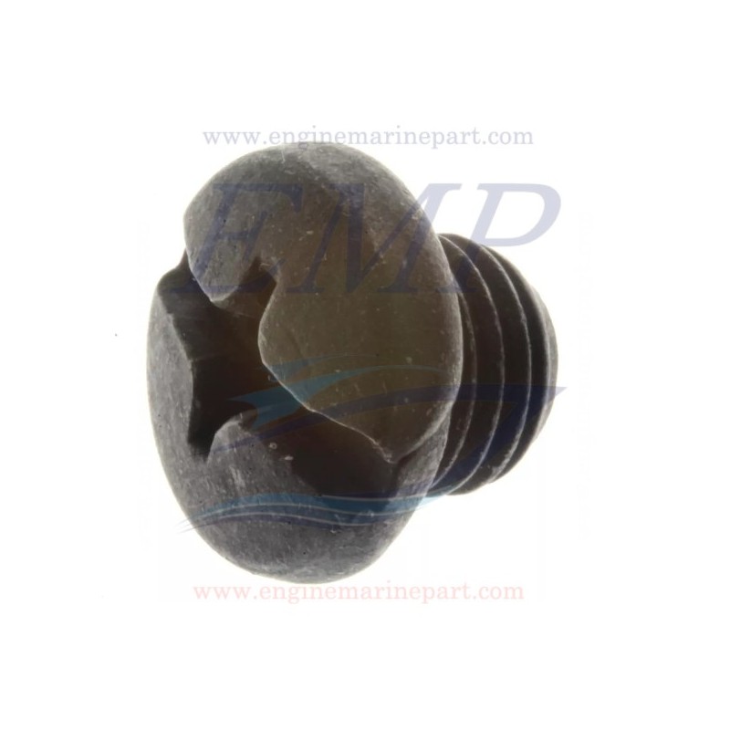 Vite olio piede 4T Johnson, Evinrude 5030094