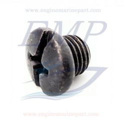 Vite olio piede 4T Johnson, Evinrude 5030094