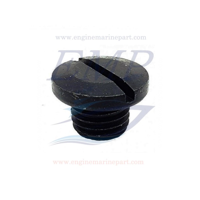 Vite olio piede 4T Johnson, Evinrude BRP 5035151