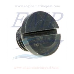 Vite olio piede 4T Johnson, Evinrude BRP 5035151