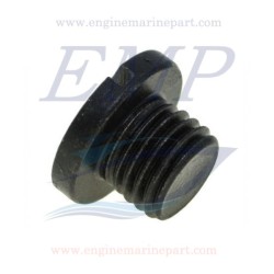 Vite olio piede 4T Johnson, Evinrude BRP 5035151