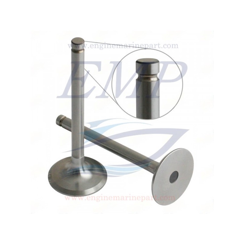 Valvola scarico 1366cc FNM 4.029.002.1