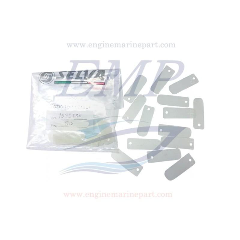 Lamella motore 2 tempi Selva 5190.030.87, 9055220
