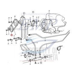 Puleggia albero motore - idroguida Volvo Penta 1219961