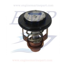 Termostato Johnson, Evinrude, BRP 5033721
