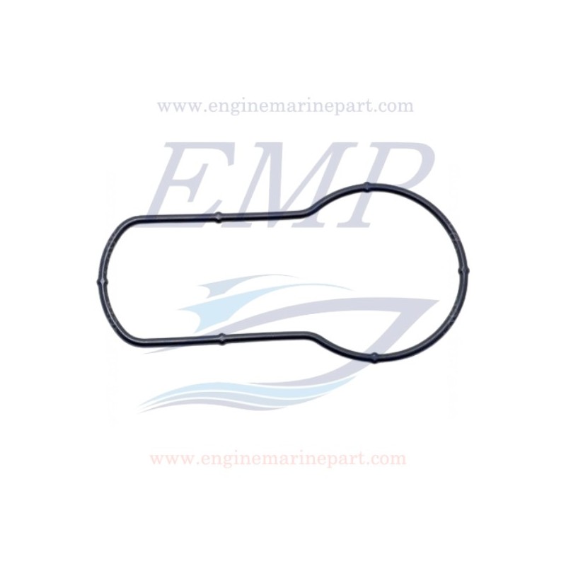 Guarnizione supporto pompa acqua Johnson, Evinrude 5031535