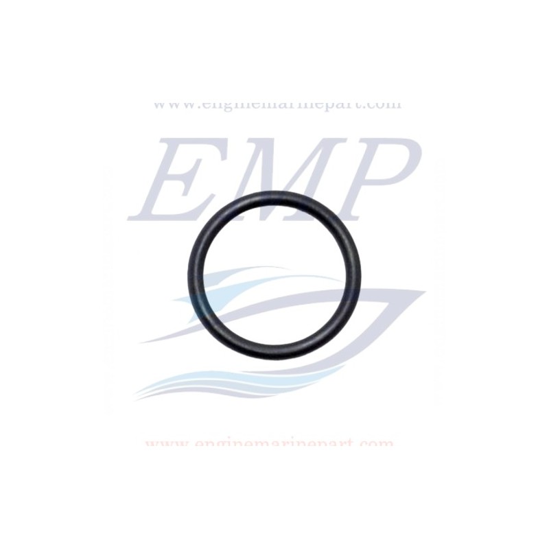 O-Ring asta cambio Johnson, Evinrude 5031260