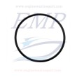 O-Ring supporto asse elica Johnson, Evinrude 5031263