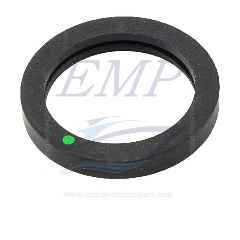 Guarnizione circuito acqua Volvo Penta 892413