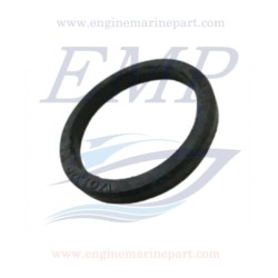 Guarnizione circuito acqua Volvo Penta 858986