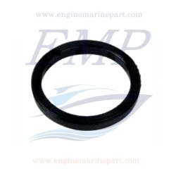 Guarnizione circuito acqua Volvo Penta 858986