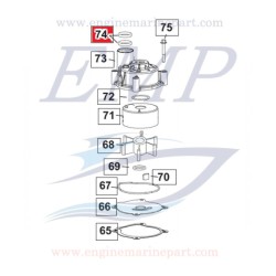 O-ring corpo pompa Johnson, Evinrude 0320140