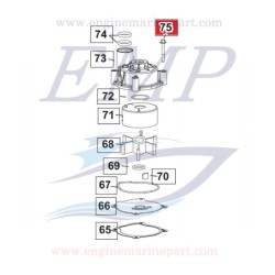 Bullone corpo pompa Johnson, Evinrude 0353579