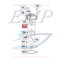 Scodellino corpo pompa Johnson, Evinrude 0355170