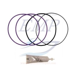 O-ring canne cilindro Volvo Penta EMP 275751