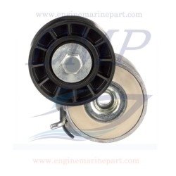 Cuscinetto tendicinghia 2998cc, FNM 1.600.010.1