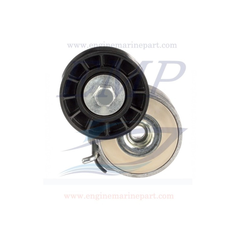 Cuscinetto tendicinghia 2998cc, FNM 1.600.010.1