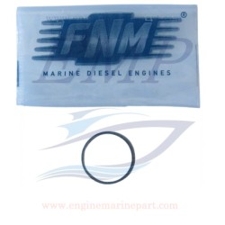 Guarnizione tra turbina e riser  FNM 3.021.207.1