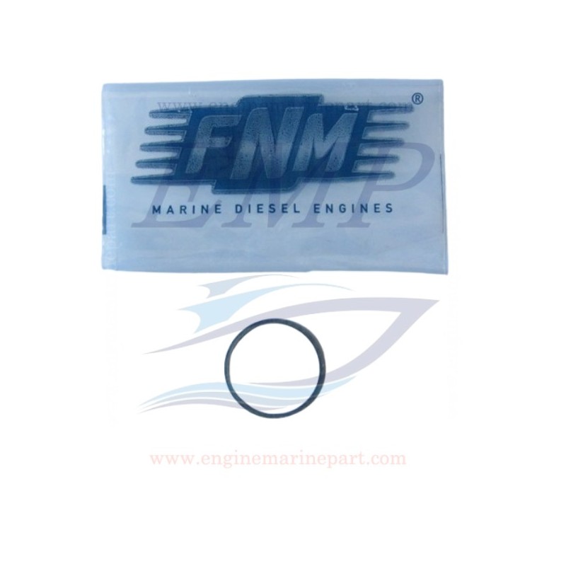 Guarnizione tra turbina e riser  FNM 3.021.207.1