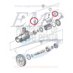Tenuta Pompa acqua di mare Volvo Penta, 22994985